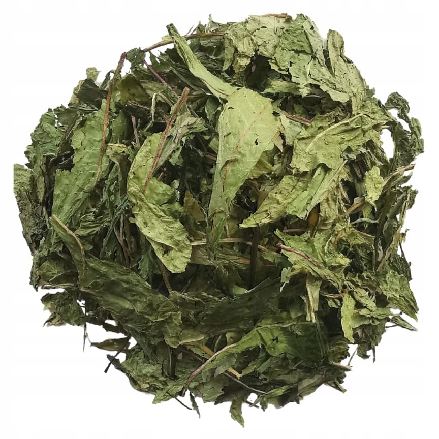 Suszone liście mniszka lekarskiego 150g Roztoczańskie Zioła - obrazek 2
