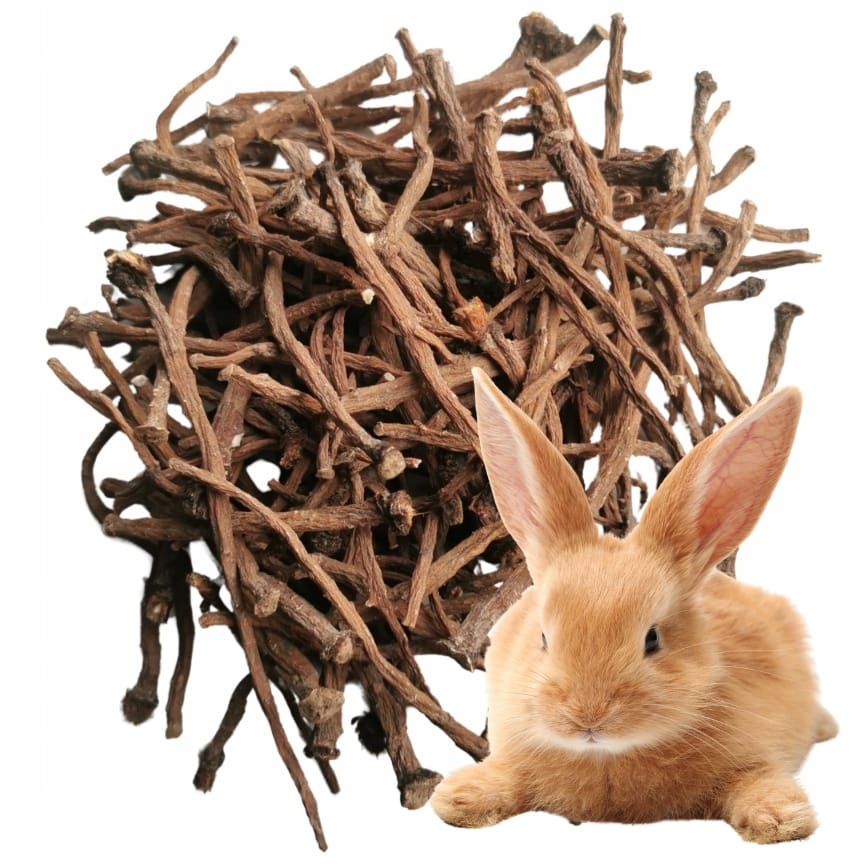 Korzeń Mniszka Lekarskiego 100 g - Naturalna Przekąska RoztoczanskieZiola - obrazek 4