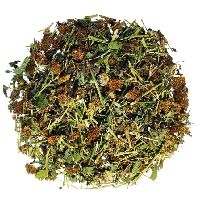 Suszona koniczyna czerwona z kwiatem 500g - dla gryzoni i królików Roztocza - obrazek 2