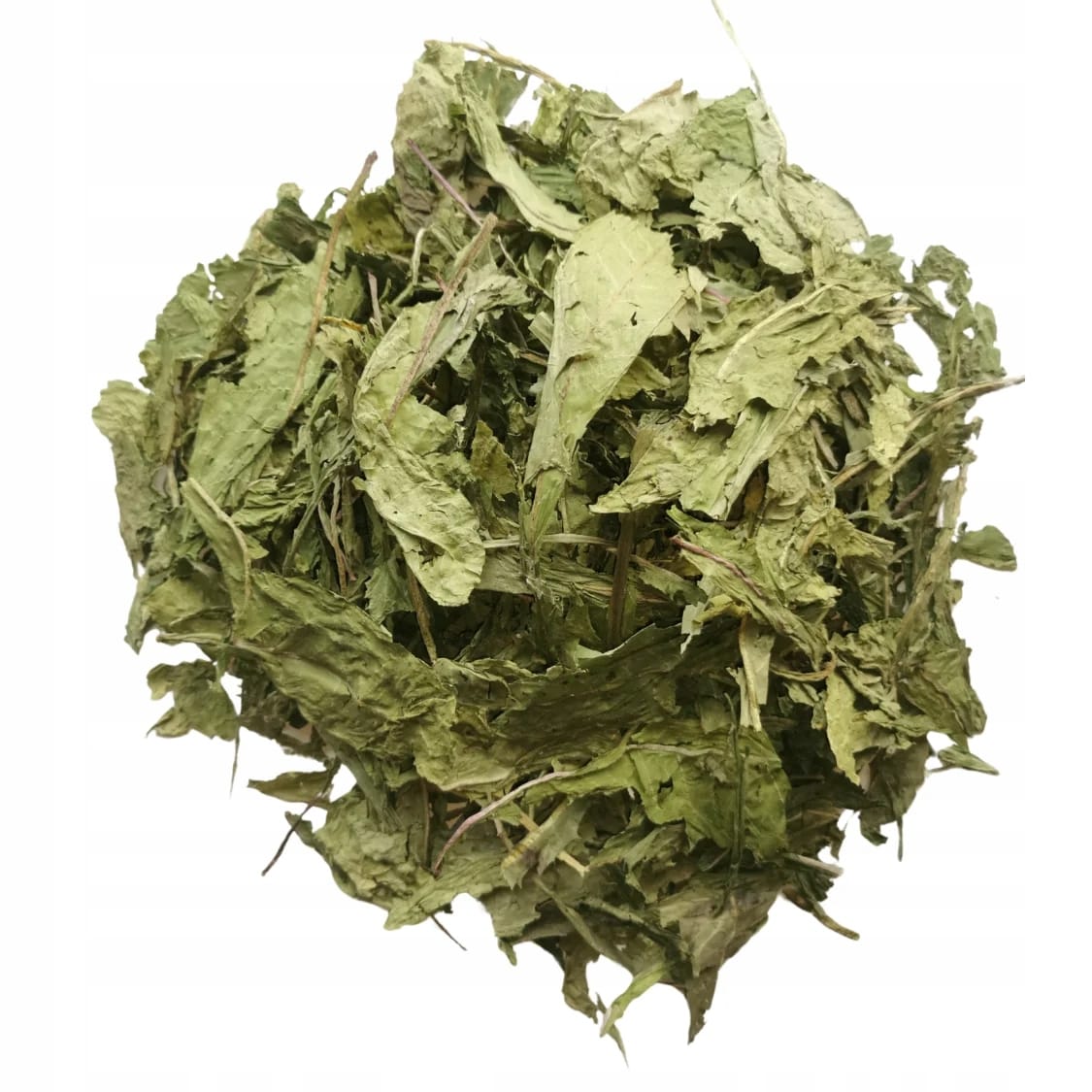 Suszone liście mniszka lekarskiego 1kg Roztoczańskie Zioła - obrazek 3