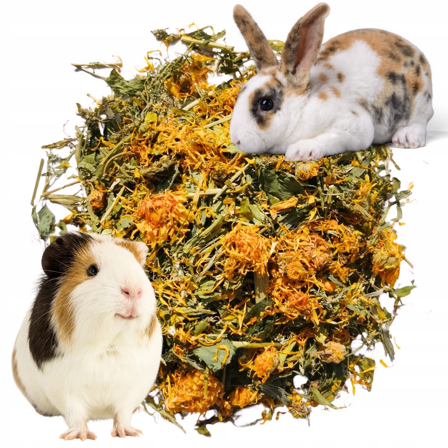 Ziele nagietka 1kg nagietek- dla gryzoni i królików Roztoczańskie Zioła - obrazek 4