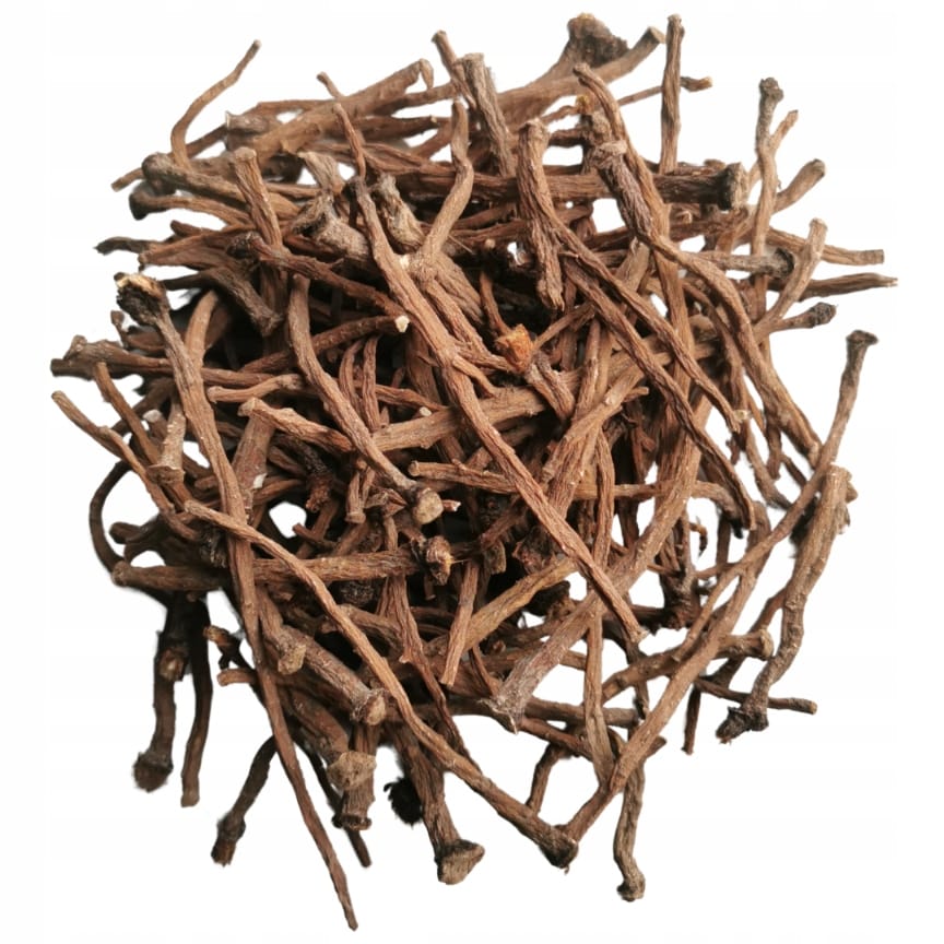 Korzeń Mniszka Lekarskiego 100 g - Naturalna Przekąska RoztoczanskieZiola - obrazek 2